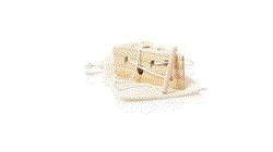 1521_250