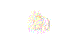 1634_250