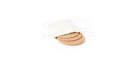 1655_250