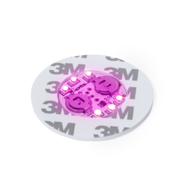 20629-000-21