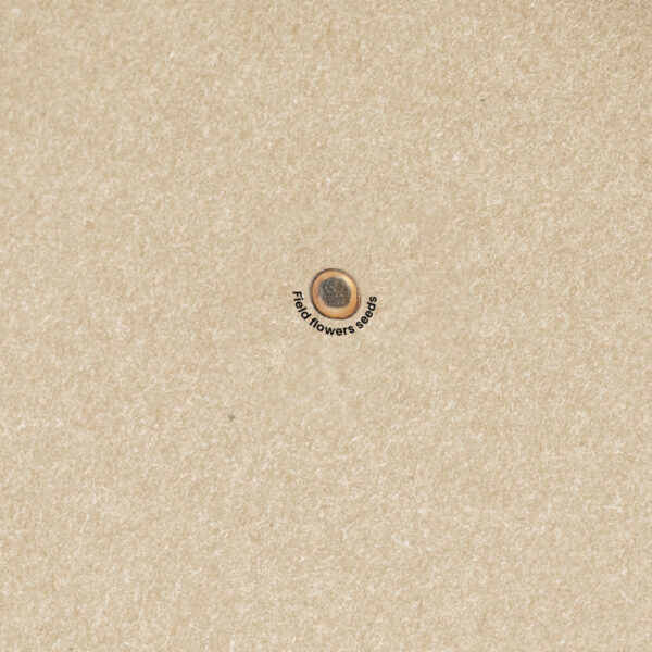 20952-000-24